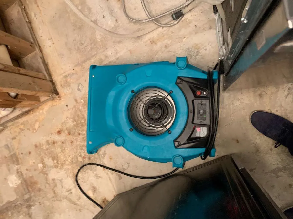Air mover drying equipment for Mold Remediation & Removal in Opelika